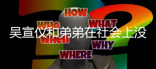 血缘宣仪弟弟没有在社吴宣吴关系会上仪和意思言论引争议什么